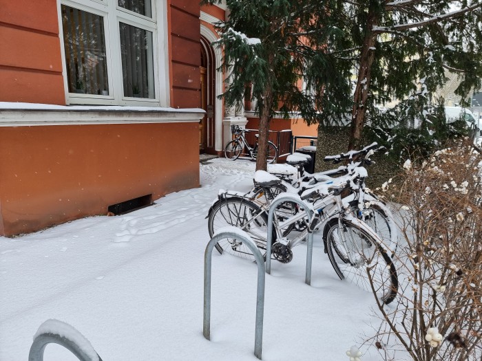Farblich sind die Bilder des Galaxy S21 Ultra etwas farbenfroher. (Bild: Tobias Költzsch/Golem.de)